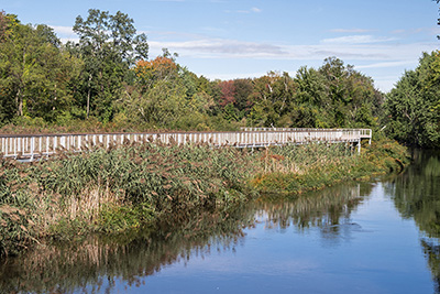 Boardwalk Along Woods Trail with Marsh and Pond at Broad Meadow Brook
